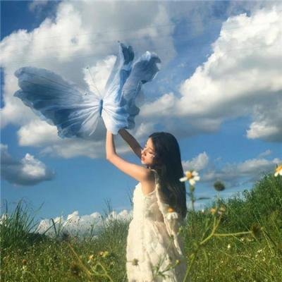 来自垃圾场的美妙乐章